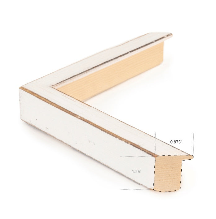 Bears in Yellowstone c. 1950