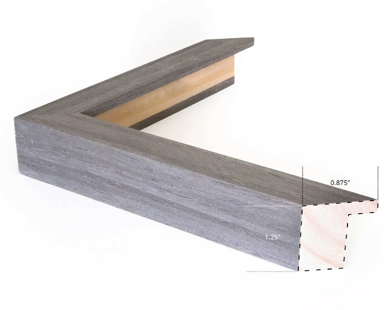 Vintage Map - Bird Panel II