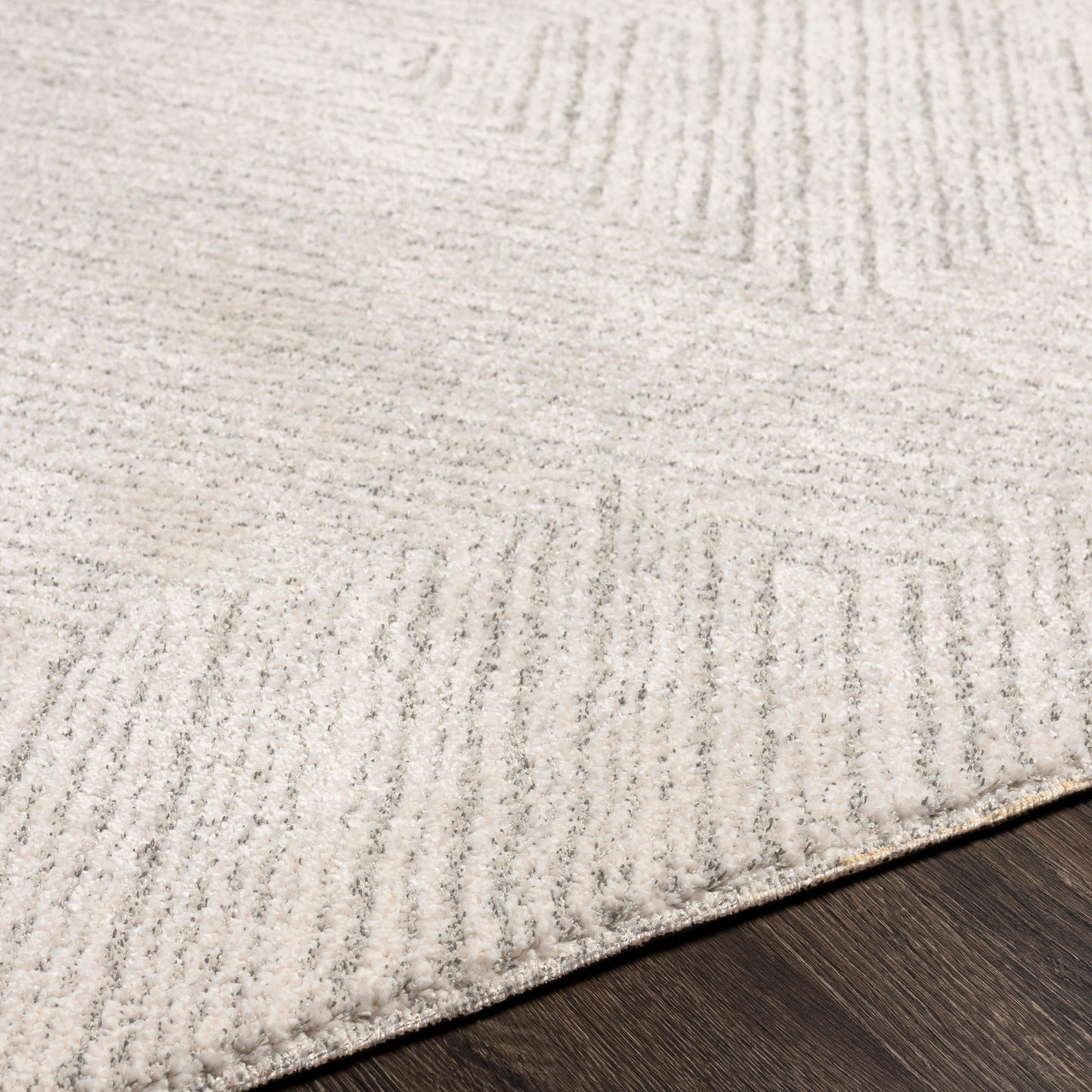 Gavic Rug