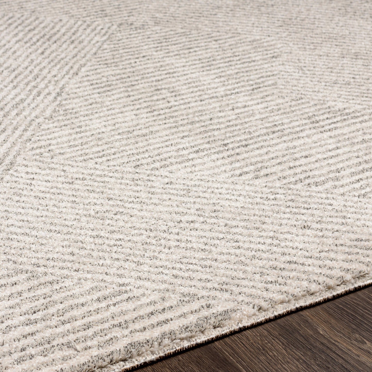 Gavic Rug