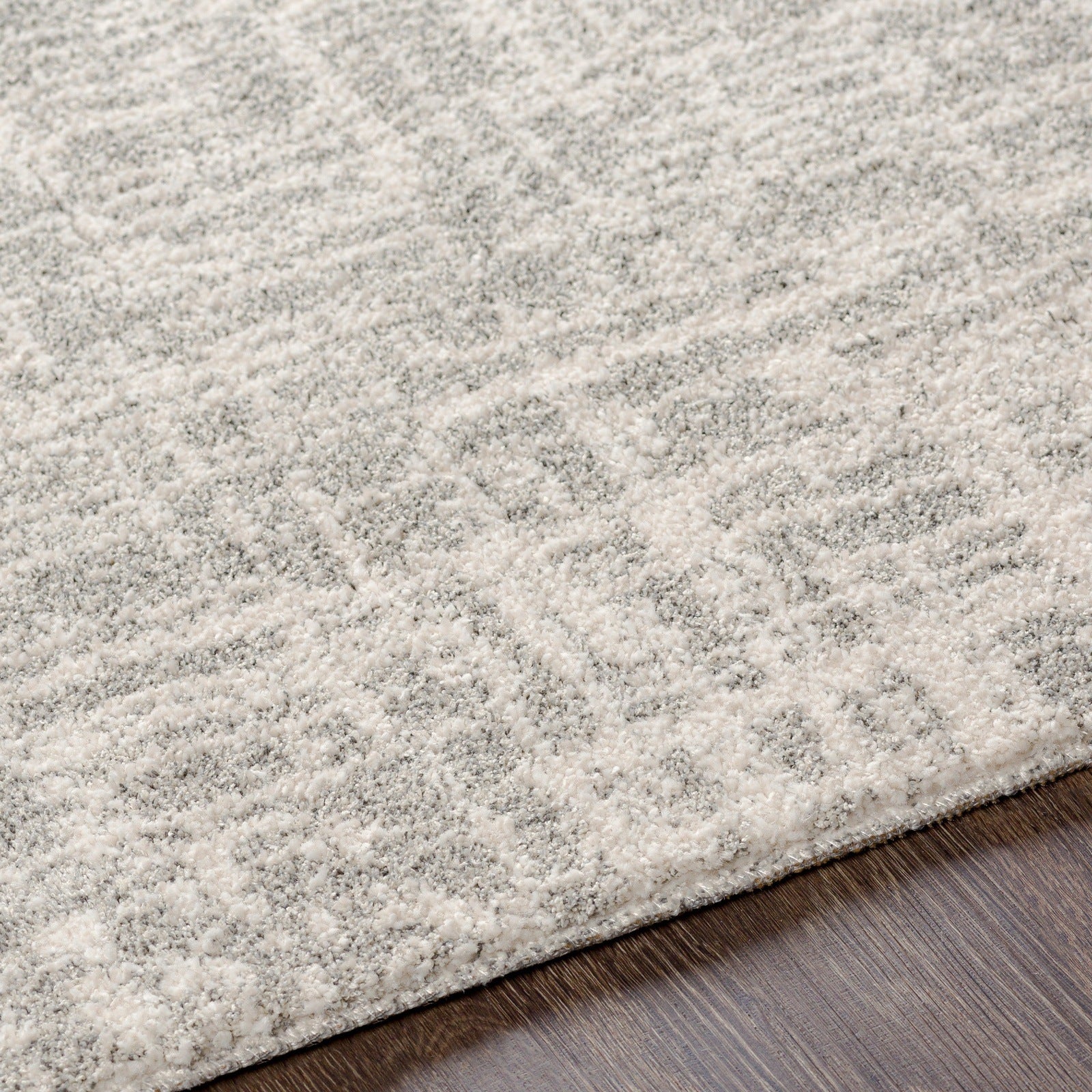Gavic Rug