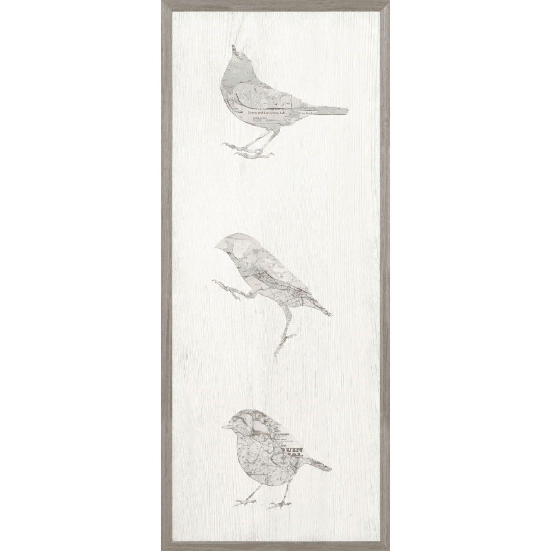 Vintage Map - Bird Panel II