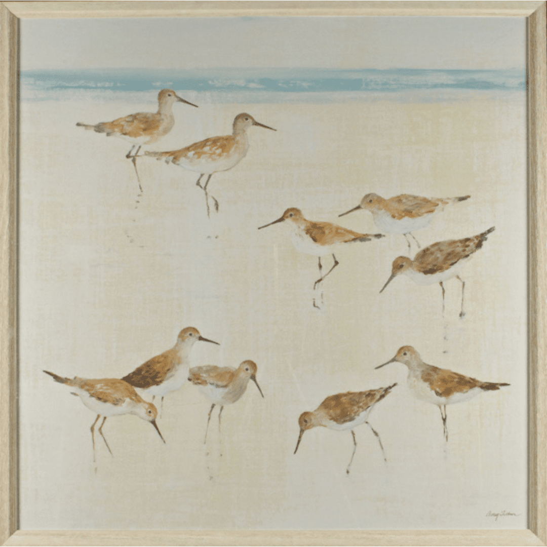 Sandpipers