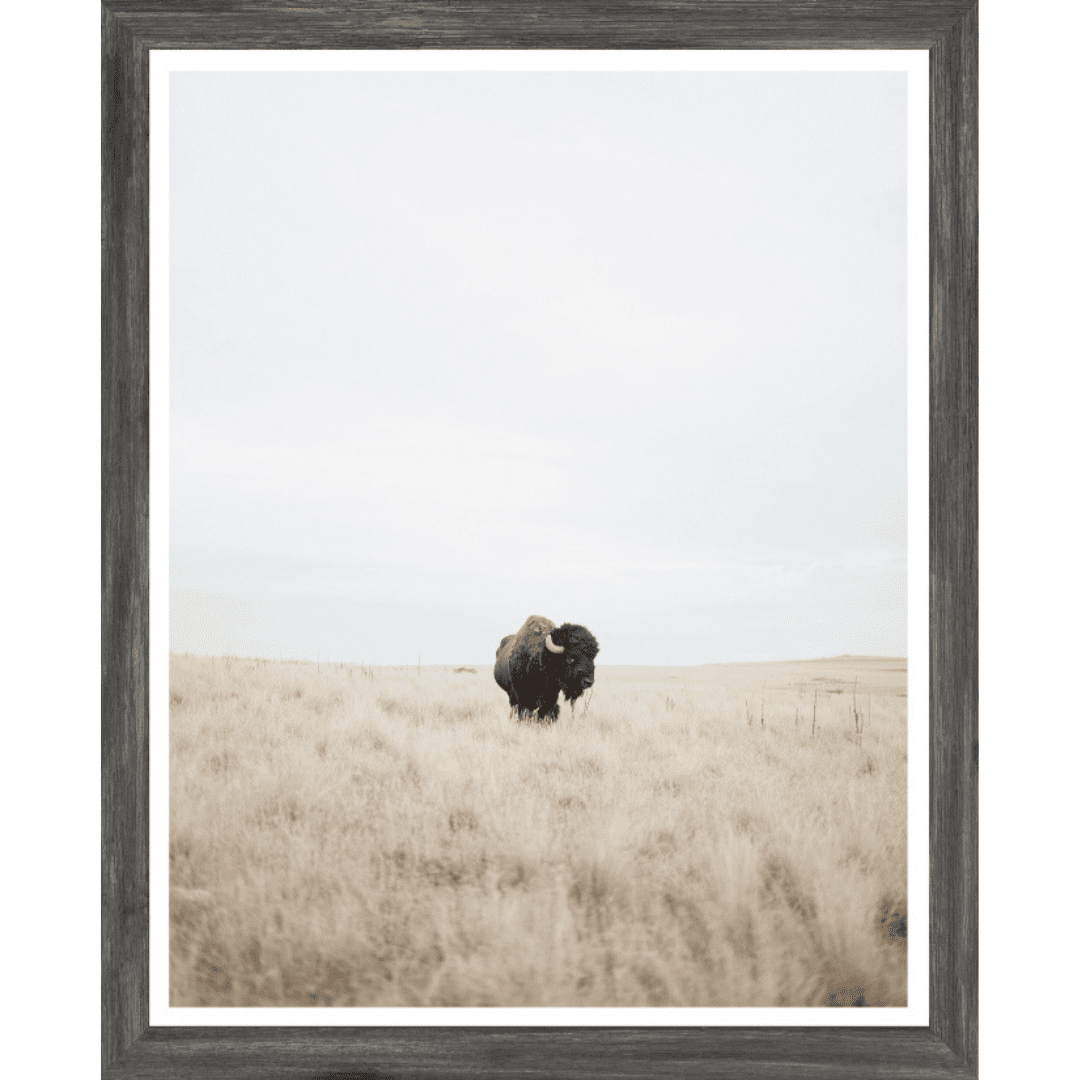 Great Plains Denizen