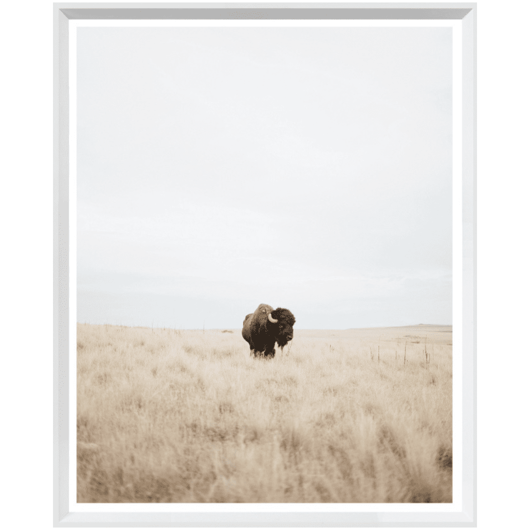 Great Plains Denizen