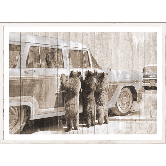 Bears in Yellowstone c. 1950