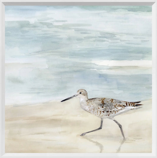 Speckled Willet II