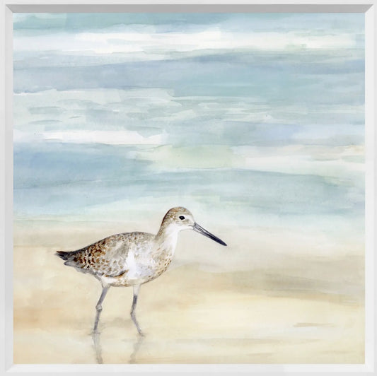 Speckled Willet I