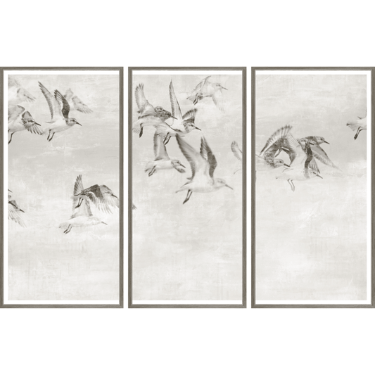 Sandpipers Take Wing Triptych