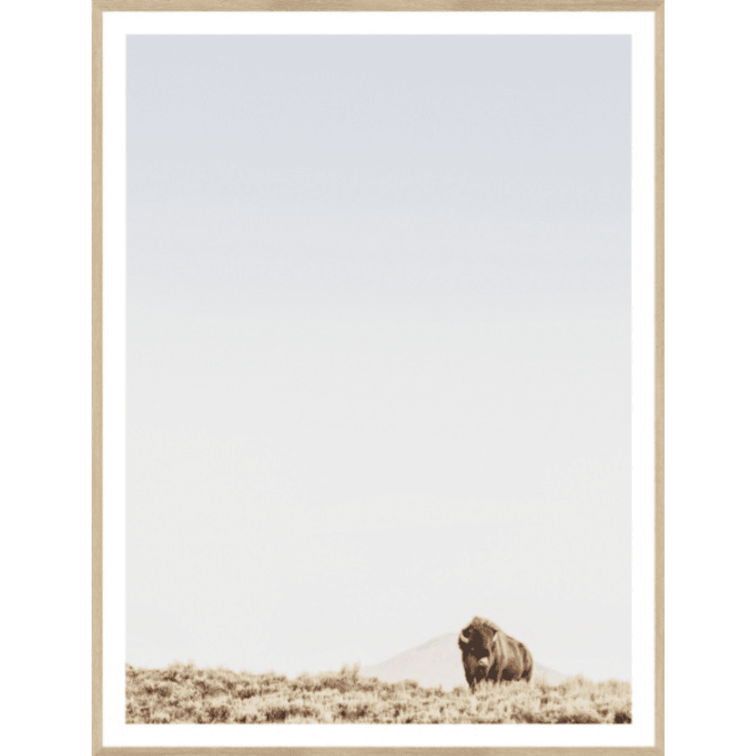 Sage Ridge-Buffalo Natural Frame Medium