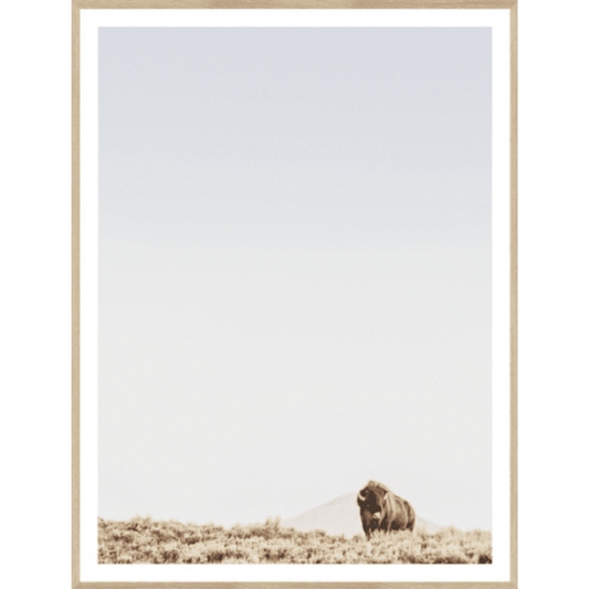 Sage Ridge-Buffalo Natural Frame Medium