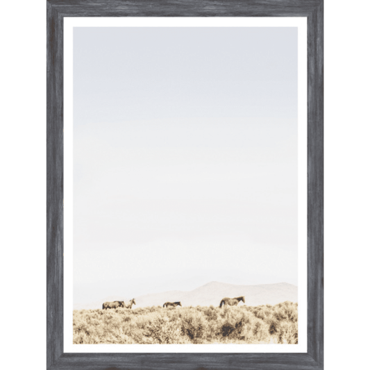 Sage Ridge-Horses Grey Frame Mini