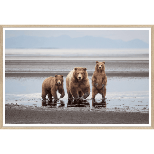 Natural- Bear Family